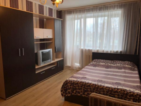 Apartment on Shchorsa, Kolomna